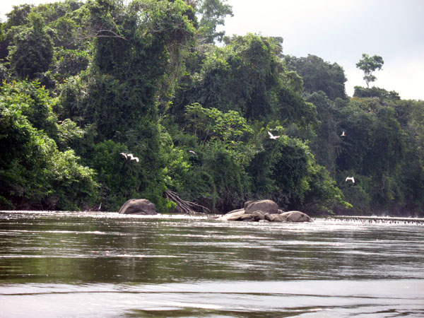 Rio Caura